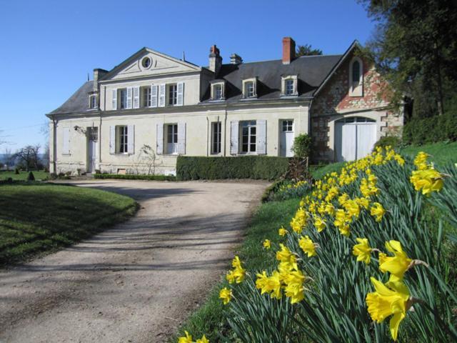 Chambres D'Hotes Le Chateau De La Plante Thuré Εξωτερικό φωτογραφία